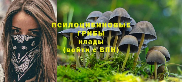 дживик Алексин