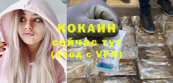 соль ск Алзамай