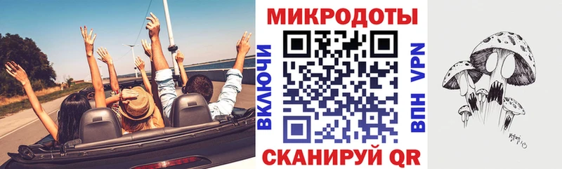 Псилоцибиновые грибы Psilocybe  Новая Ладога 